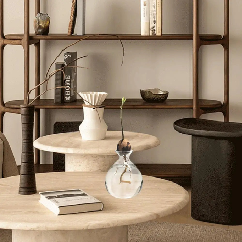 DecorBites™ "Hydroponic Avocado Seed Cultivation Vase"