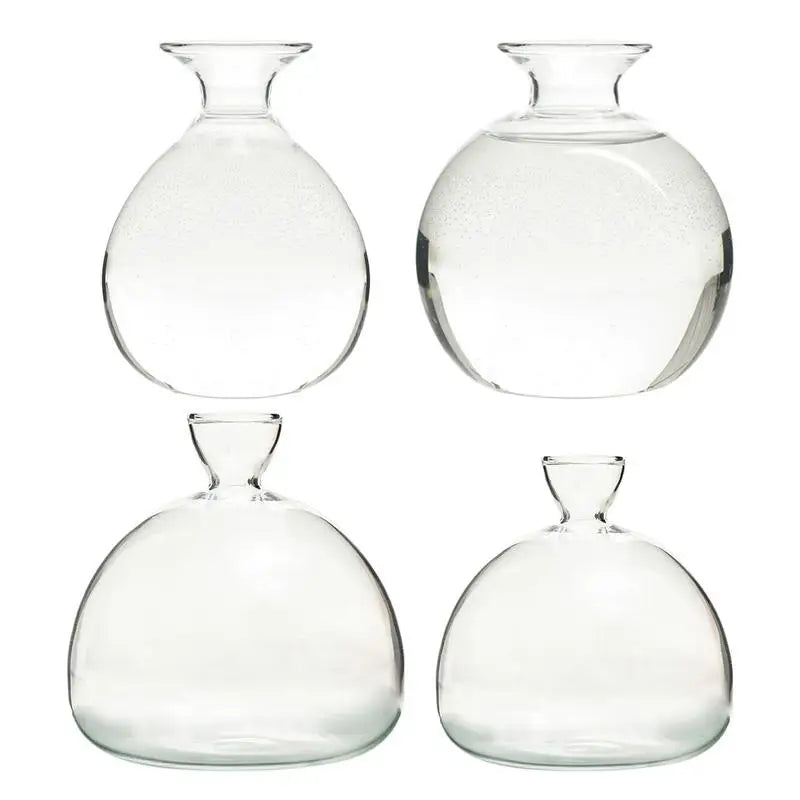 DecorBites™ "Hydroponic Avocado Seed Cultivation Vase"