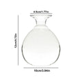 DecorBites™ "Hydroponic Avocado Seed Cultivation Vase"