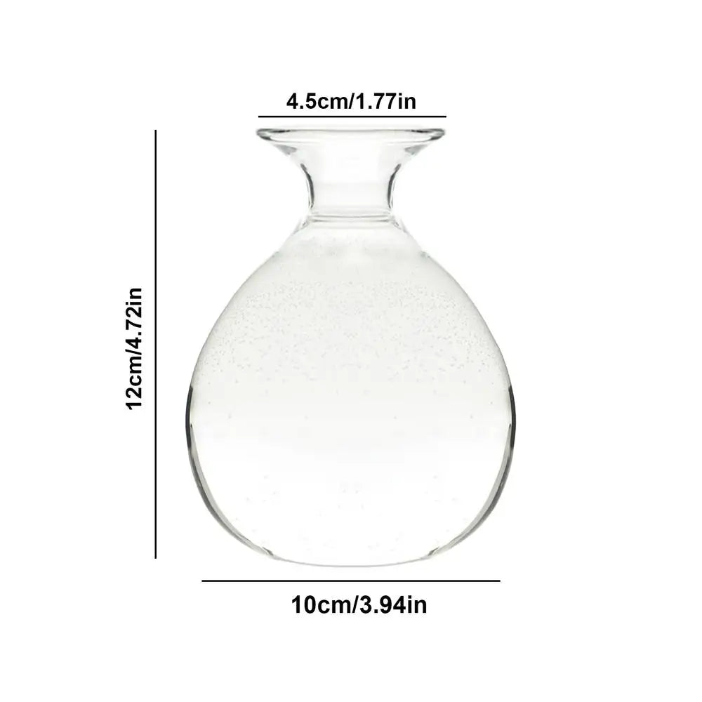 DecorBites™ "Hydroponic Avocado Seed Cultivation Vase"