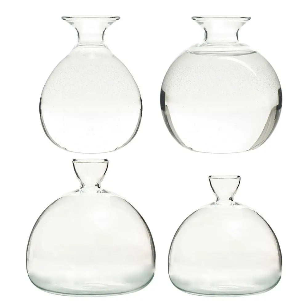 DecorBites™ "Hydroponic Avocado Seed Cultivation Vase"