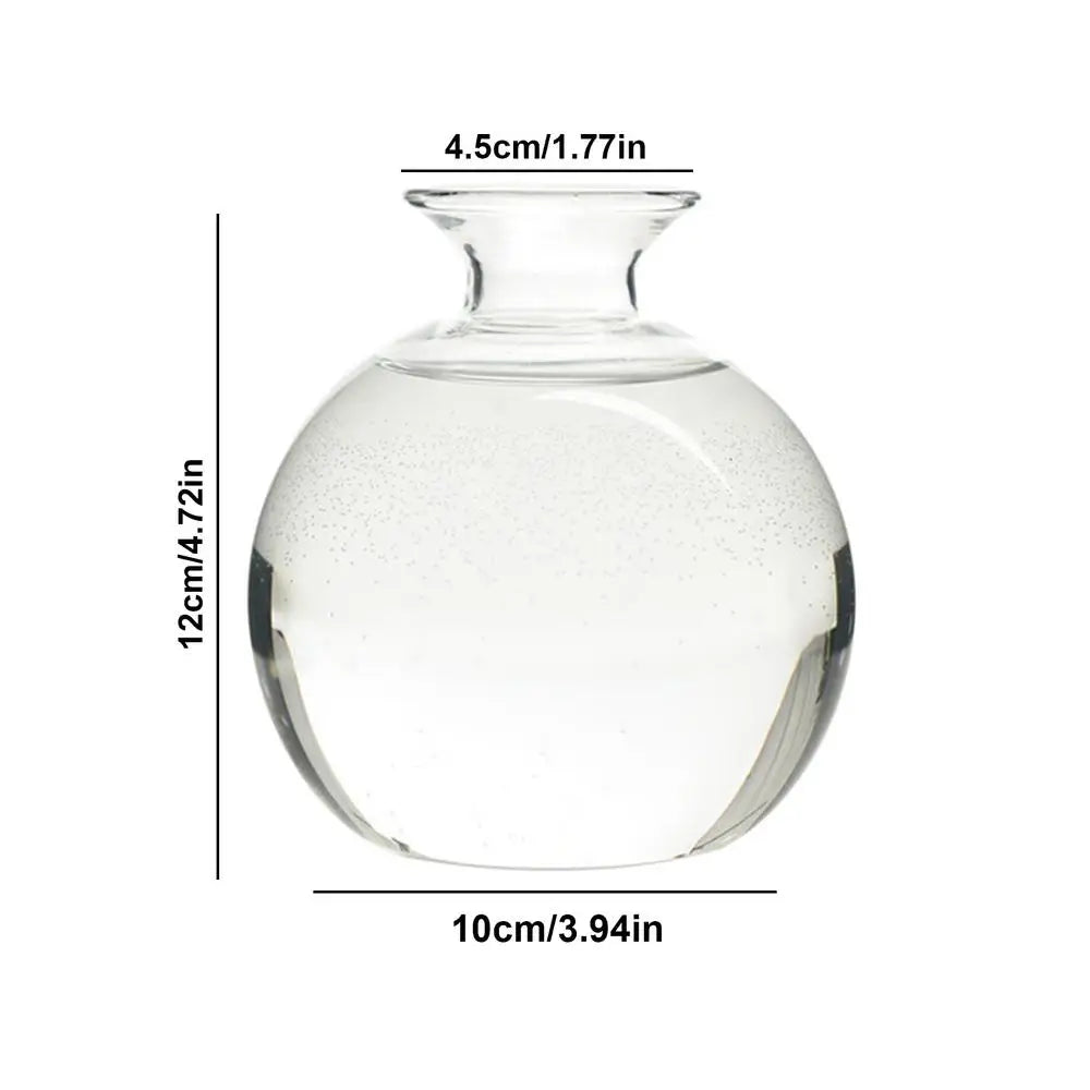 DecorBites™ "Hydroponic Avocado Seed Cultivation Vase"