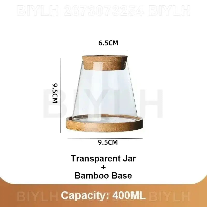 DecorBites™ Hydroponic Glass Flower Pots - Set of 2