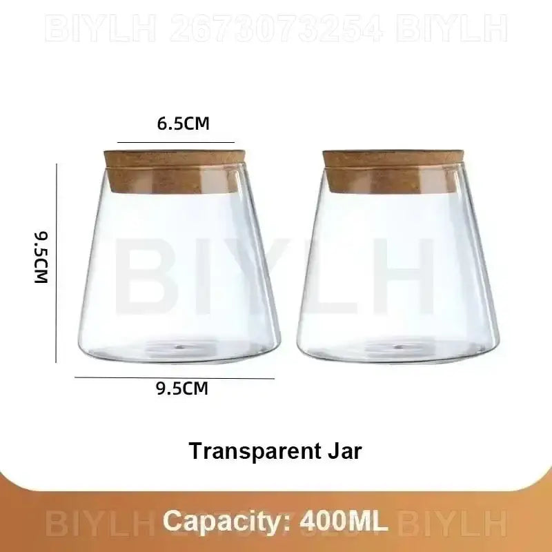 DecorBites™ Hydroponic Glass Flower Pots - Set of 2