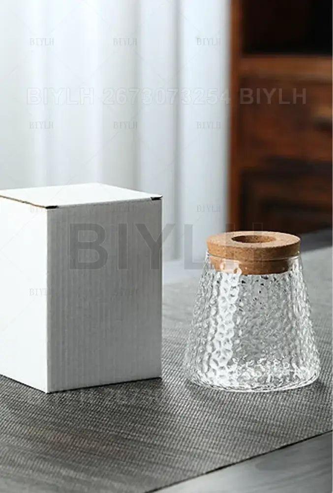 DecorBites™ Hydroponic Glass Flower Pots - Set of 2