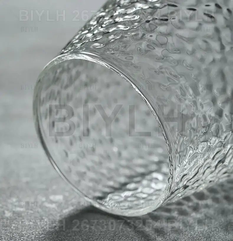 Clear glass flower pots set of 2 with textured hammered surface by decorbites hydroponic glass flower pots