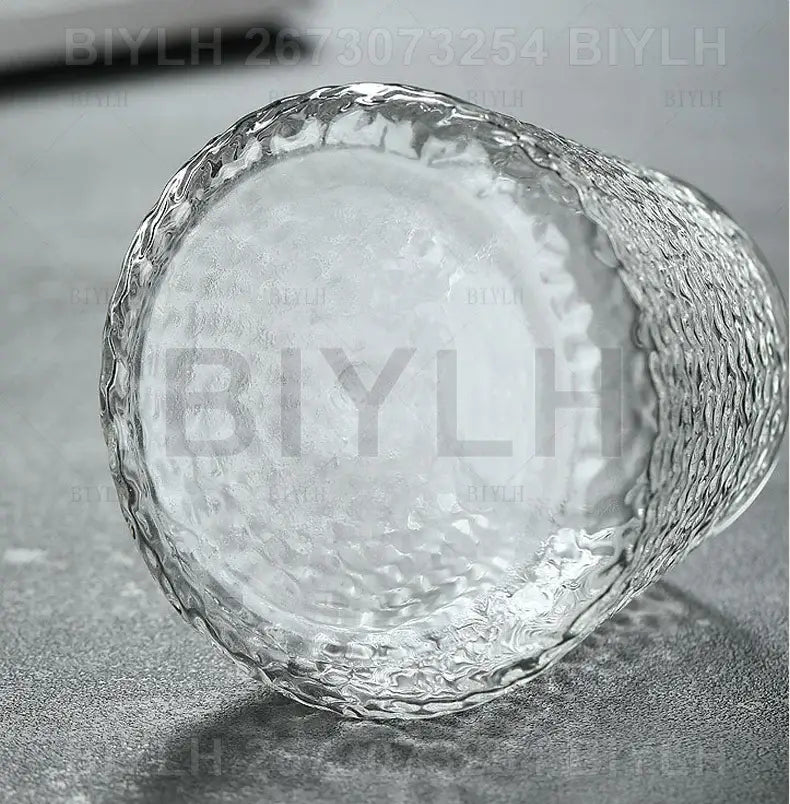 DecorBites™ Hydroponic Glass Flower Pots - Set of 2