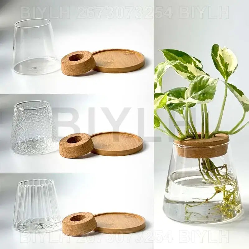 DecorBites™ Hydroponic Glass Flower Pots - Set of 2