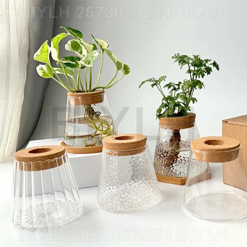 DecorBites™ Hydroponic Glass Flower Pots - Set of 2