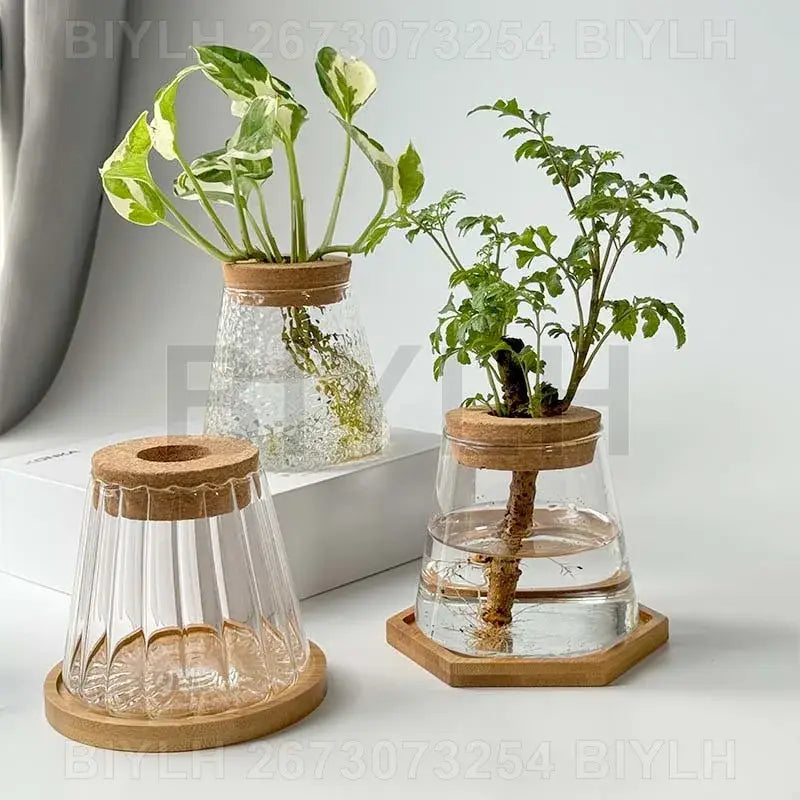 DecorBites™ hydroponic glass flower pots set of 2 with clear fluted glass and wooden lids and bases