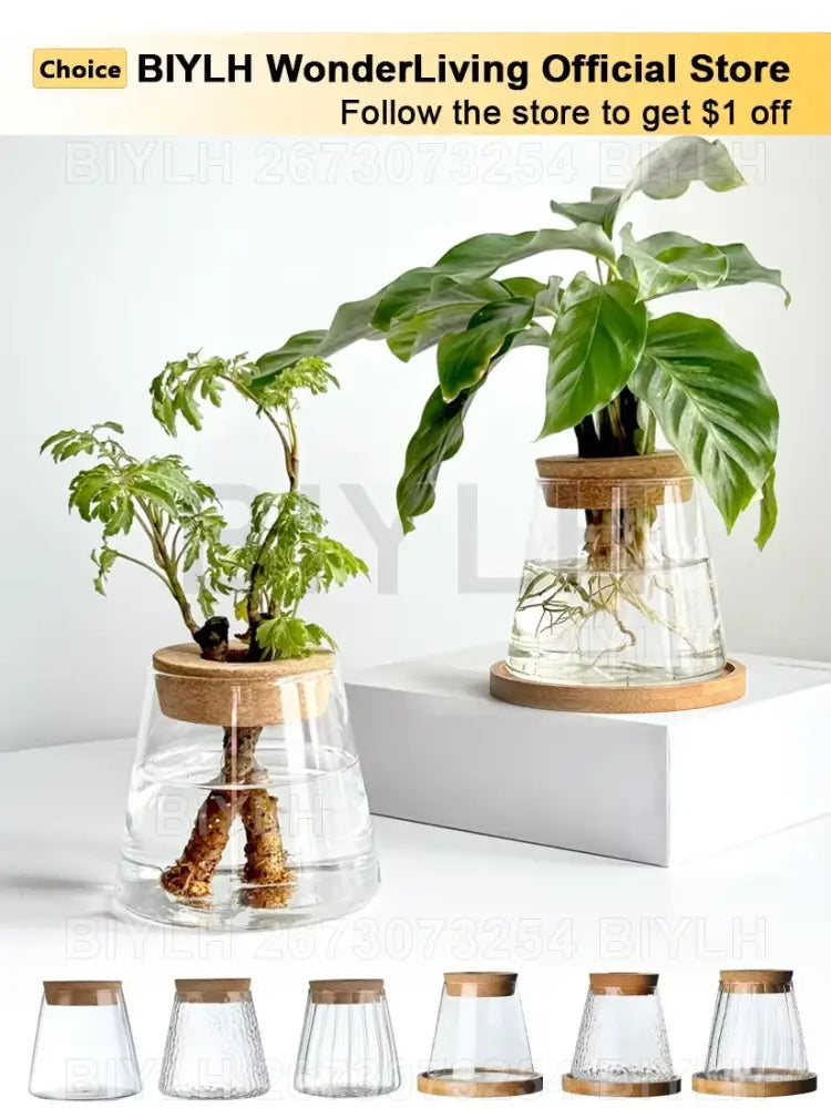 DecorBites™ Hydroponic Glass Flower Pots - Set of 2