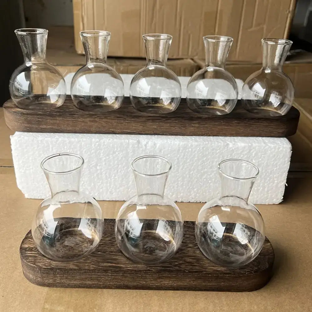 DecorBites™ Hydroponic Glass Vase with Wooden Tray
