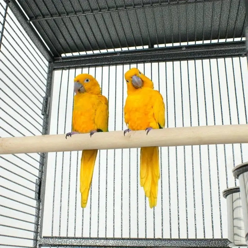 DecorBites™ Large 61" Bird Cage - Non-Toxic Steel, Easy Assembly