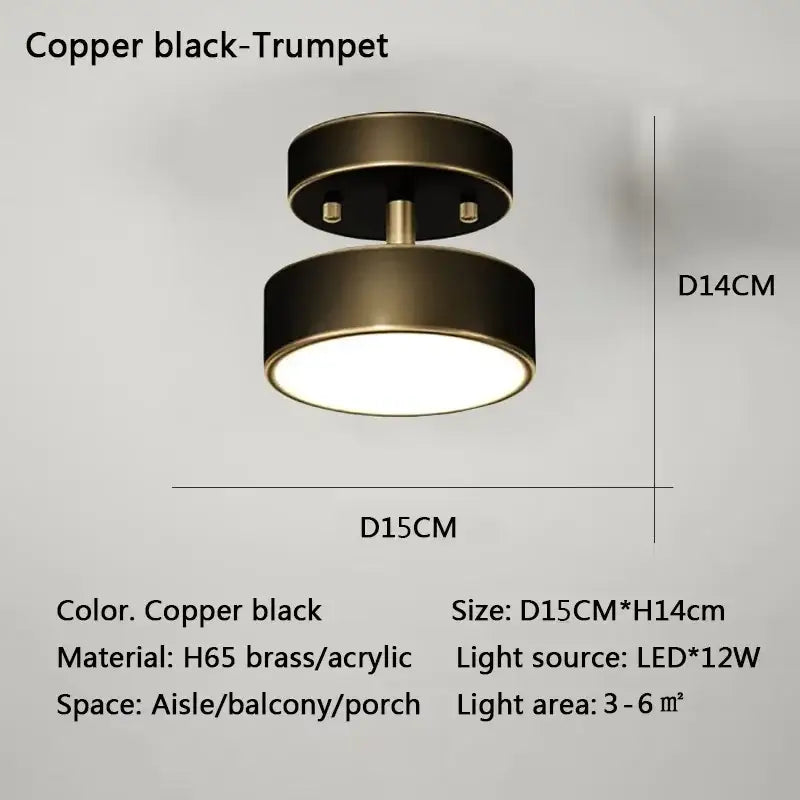 DecorBites™ LED Ceiling Light for Bedroom and Living Room