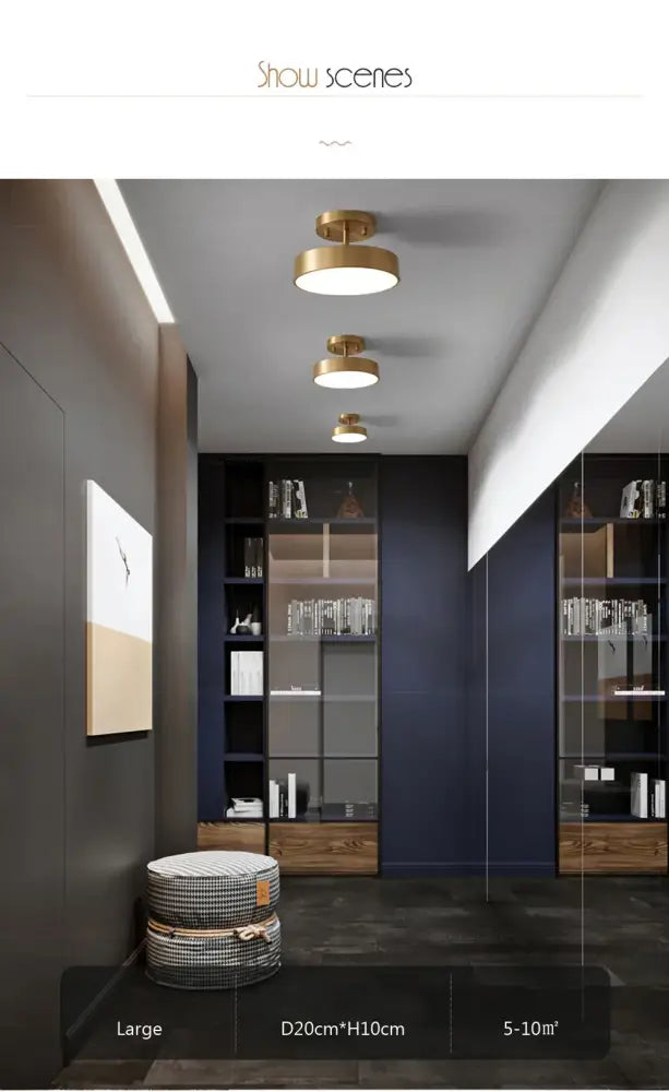 DecorBites™ LED Ceiling Light for Bedroom and Living Room