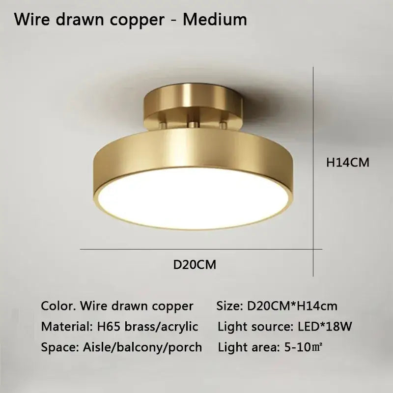DecorBites™ LED Ceiling Light for Bedroom and Living Room