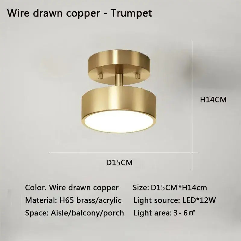 DecorBites™ LED Ceiling Light for Bedroom and Living Room