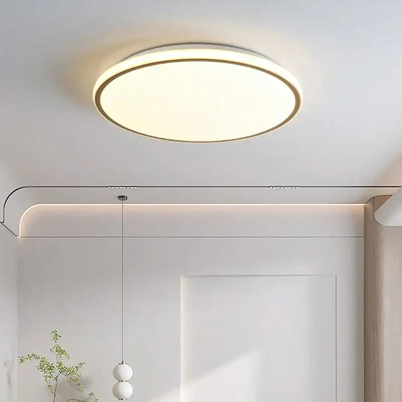 DecorBites™ LED Ceiling Lights - Modern Home Decor for Bedroom Living Room Hallway Lighting Fixtures