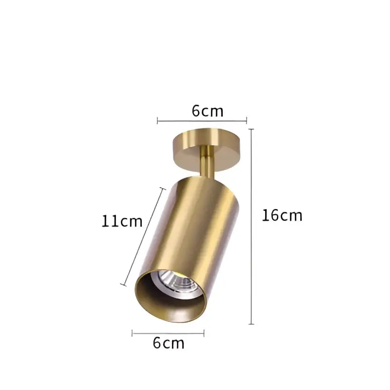 Modern brass led golden ceiling spotlight for living room