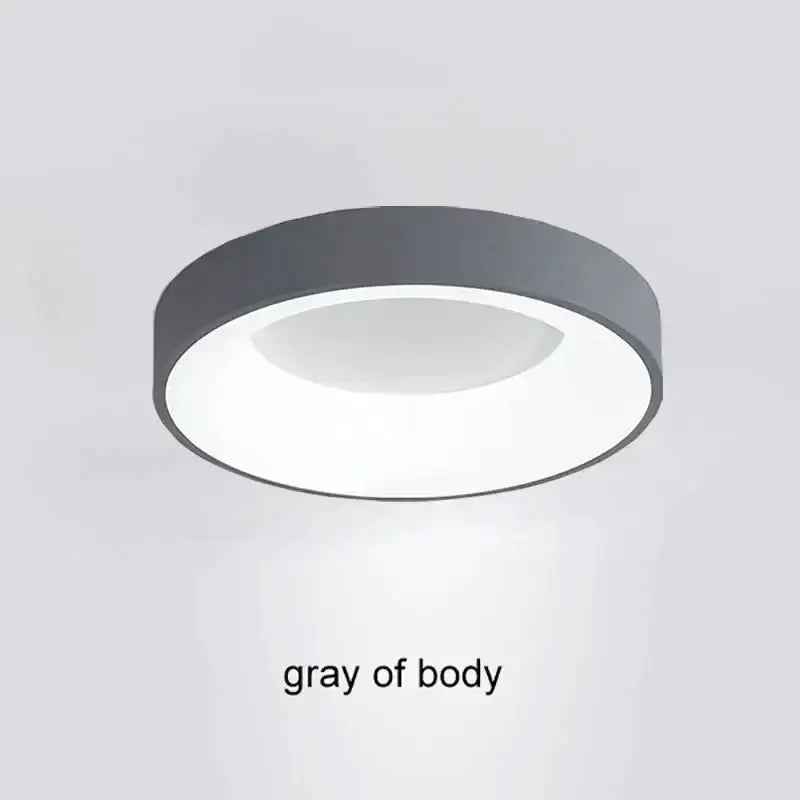 Modern white frosted glass led nordic ceiling light bedroom