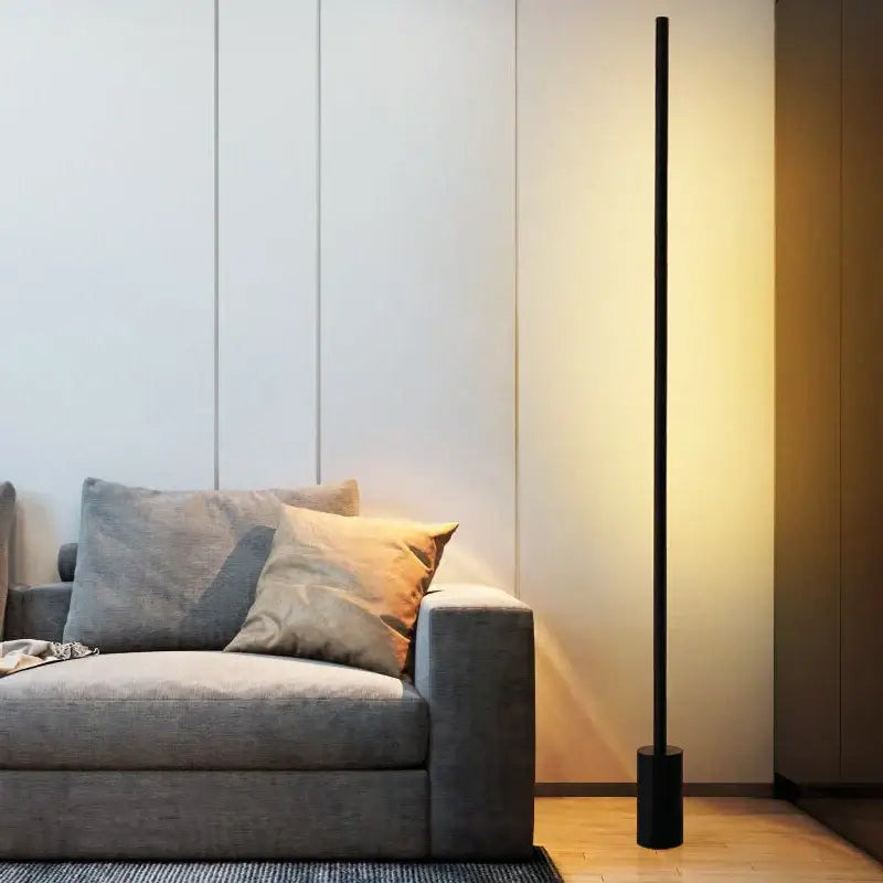 Minimalist black led nordic floor lamp for living room ambient lighting