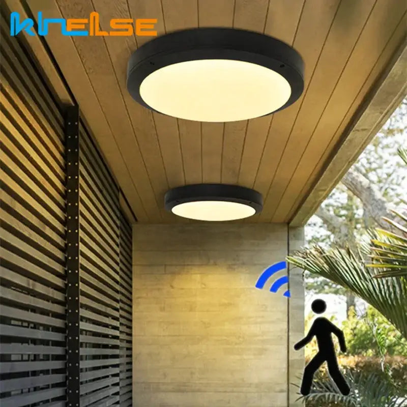 Matte black oval wall lamp waterproof garden ceiling light