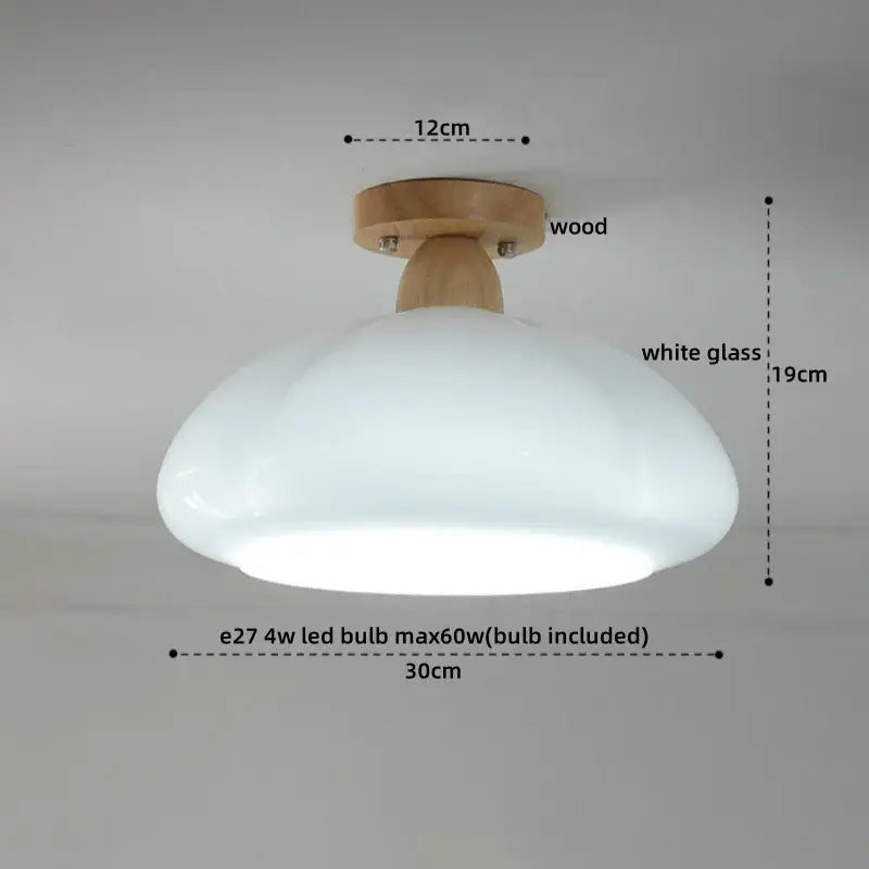 DecorBites™ LED Resin Copper Ceiling Light Fixture for Aisle Porch Living Room