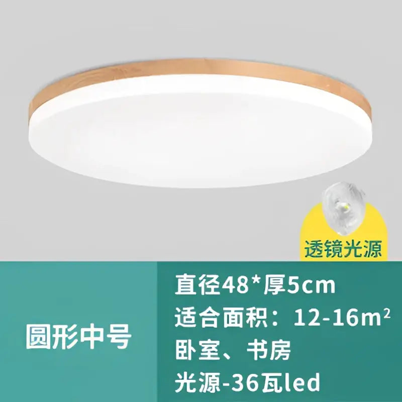 DecorBites™ LED Round Ceiling Light: Ultra-Thin & Modern for Bedroom, Living Room, Study.