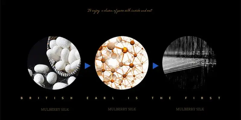 DecorBites luxury mulberry silk bedding set queen king size with British earl silk and white silkworm cocoons design