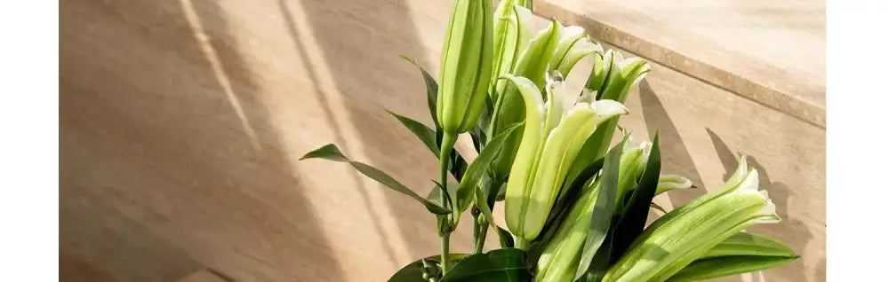 DecorBites™ Luxury Stainless Steel Vase for Home Decor