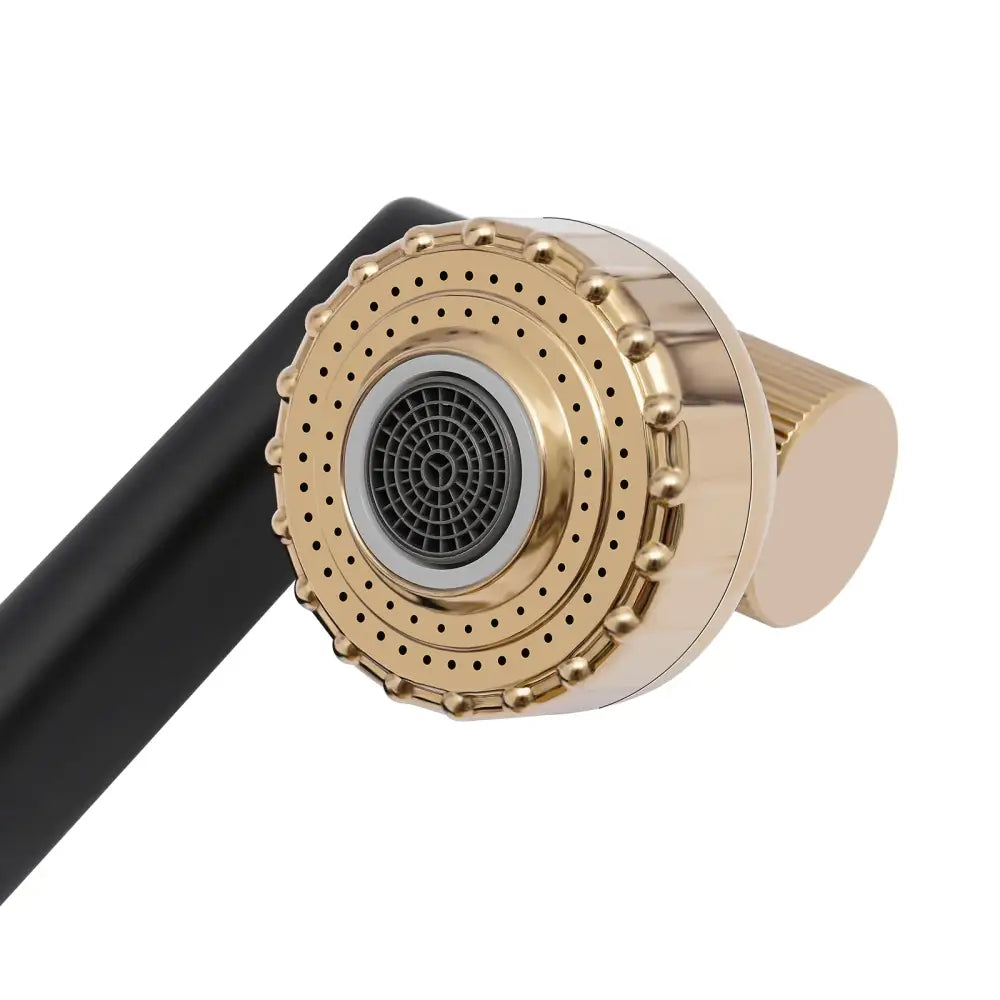 DecorBites™ Matte Black & Gold Bathroom Faucet, Dual Water Modes