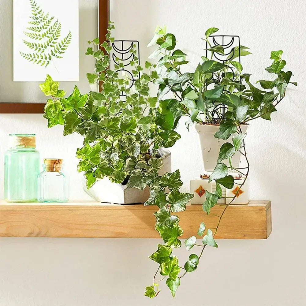 DecorBites™ Metal Garden Plant Stand for Indoor and Outdoor Growth
