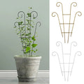 Black wrought iron metal garden plant stand with curved ornate trellis supporting vine in textured gray pot