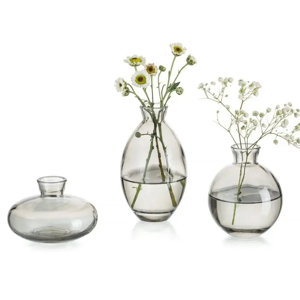 DecorBites™ Mini Glass Flower Vase for Home Decor