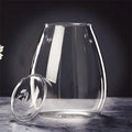 DecorBites™ Mini Glass Terrarium for Succulents and Moss