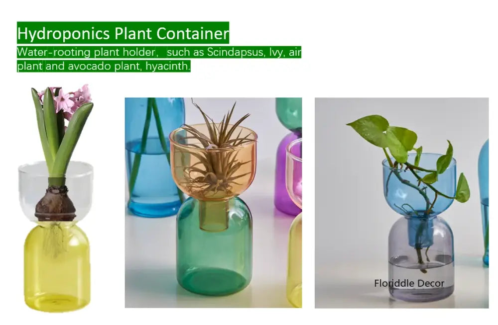 DecorBites™ Mini Glass Vase Set for Plants and Candles