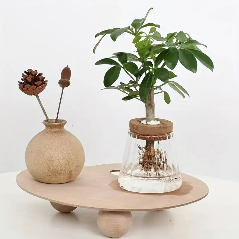 DecorBites™ Mini Nordic Glass Hydroponic Planter Tray
