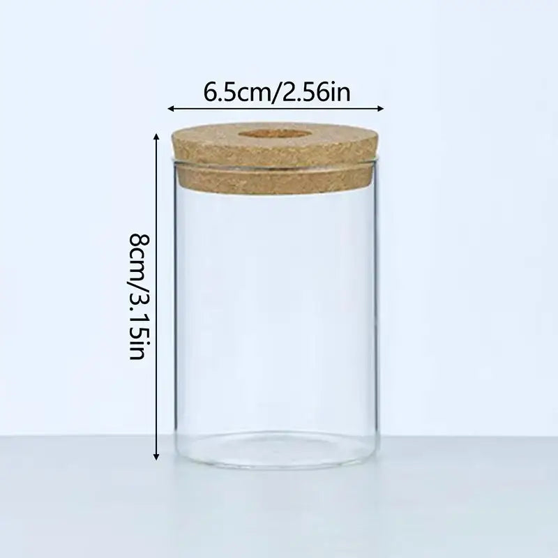 DecorBites™ Mini Nordic Glass Hydroponic Planter Tray