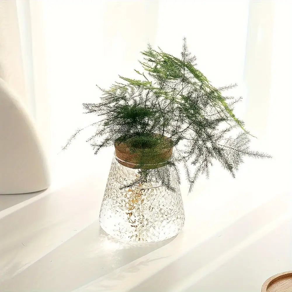 DecorBites™ Mini Nordic Glass Hydroponic Planter Tray