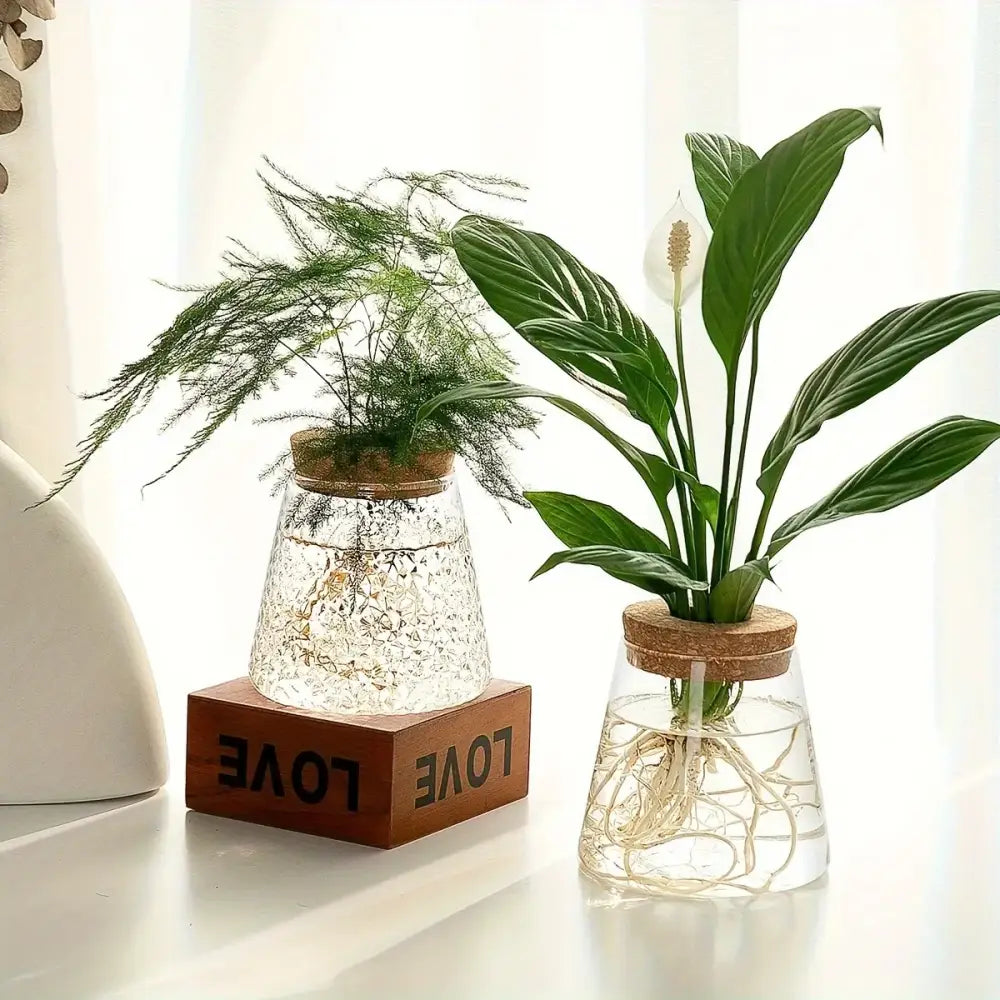 DecorBites™ Mini Nordic Glass Hydroponic Planter Tray
