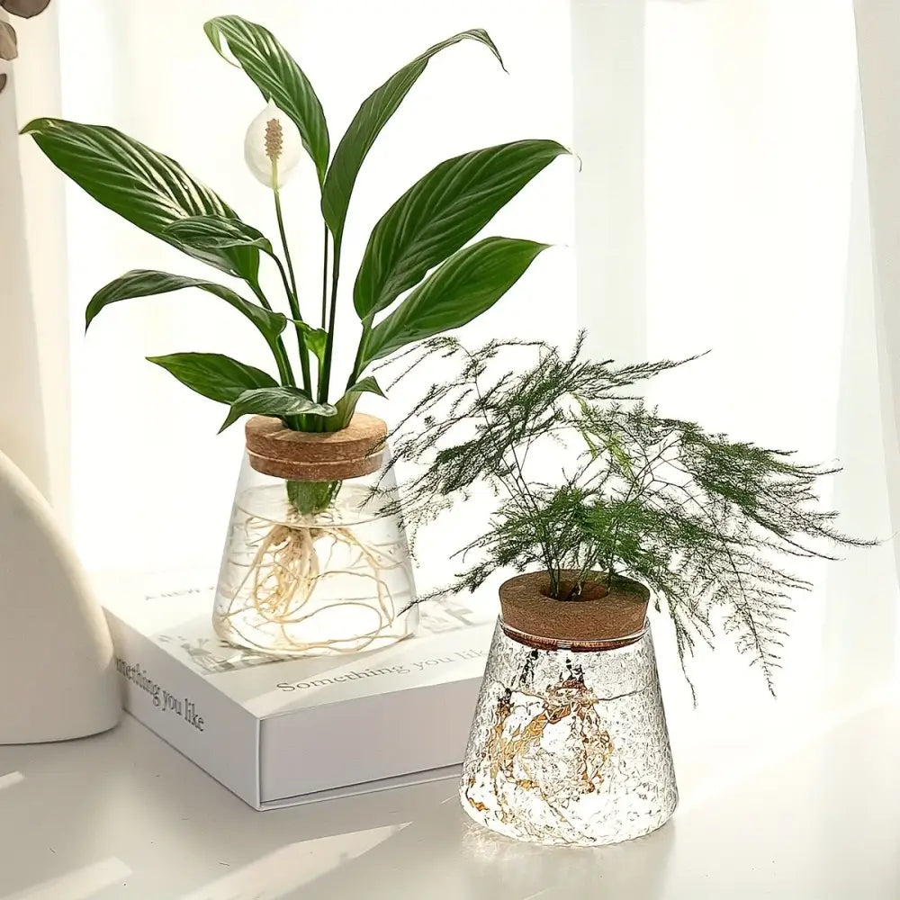 DecorBites™ Mini Nordic Glass Hydroponic Planter Tray