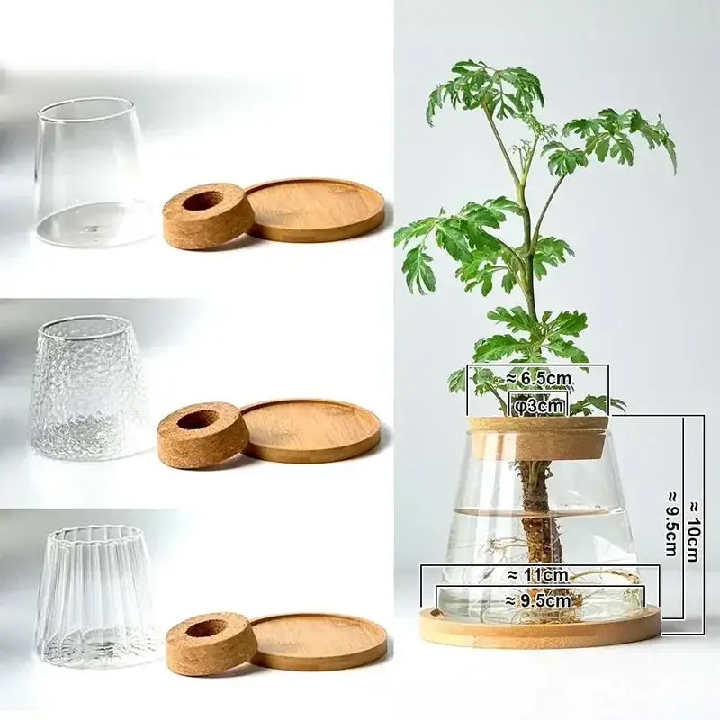 DecorBites™ Mini Nordic Glass Hydroponic Planter Tray