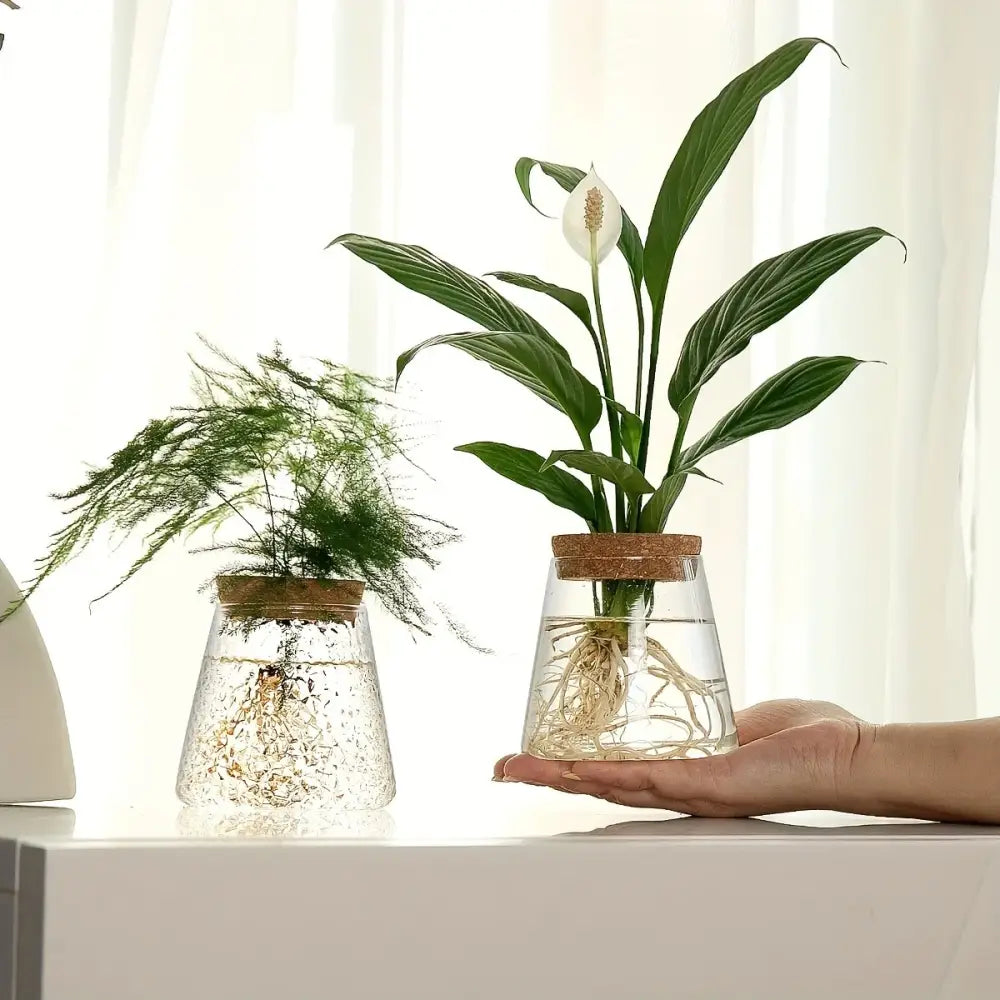 DecorBites™ Mini Nordic Glass Hydroponic Planter Tray