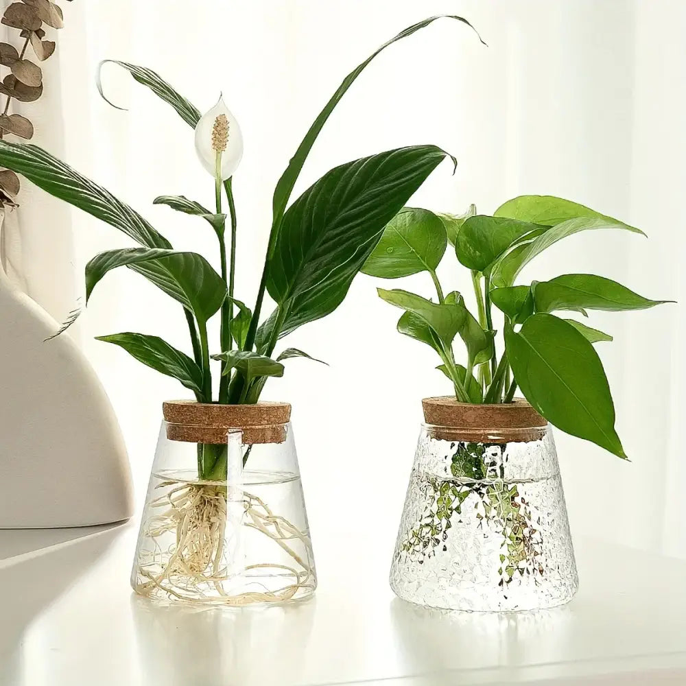 DecorBites™ Mini Nordic Glass Hydroponic Planter Tray