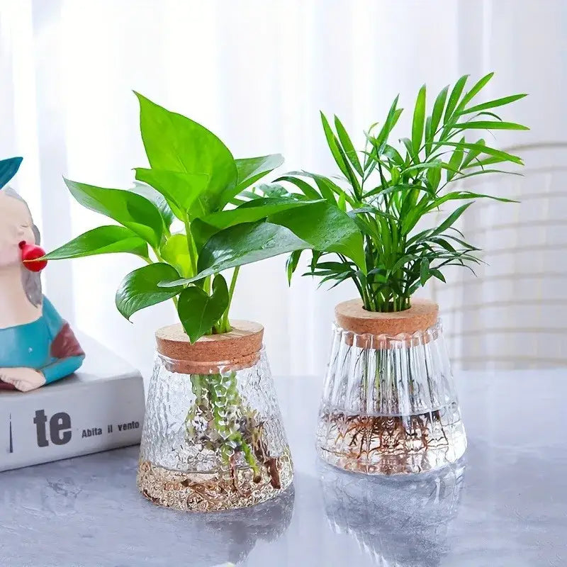 DecorBites™ Mini Nordic Glass Hydroponic Planter Tray