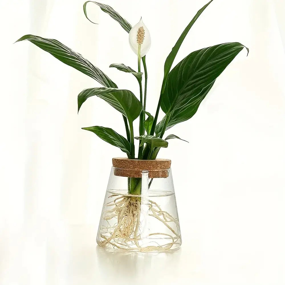 DecorBites™ Mini Nordic Glass Hydroponic Planter Tray
