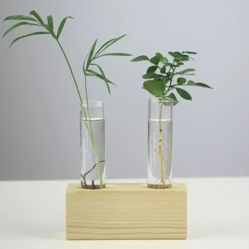 DecorBites™ Modern Crystal Glass Test Tube Vase