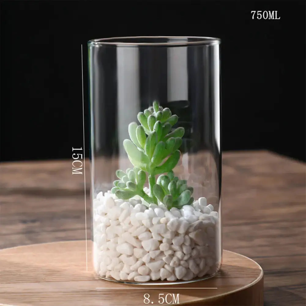 DecorBites™ Modern Glass Hydroponic Vase for Wedding Decor