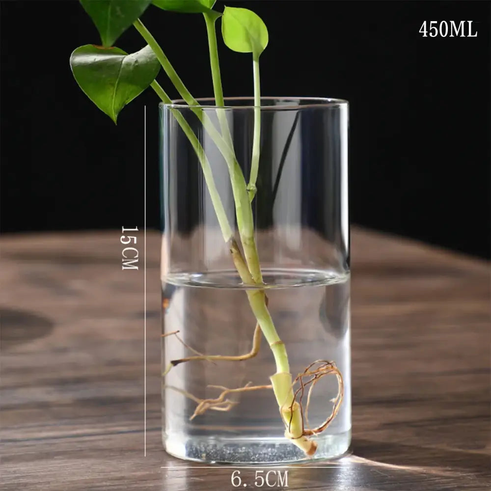 DecorBites™ Modern Glass Hydroponic Vase for Wedding Decor