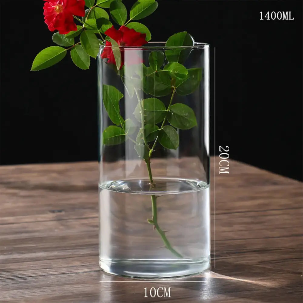DecorBites™ Modern Glass Hydroponic Vase for Wedding Decor